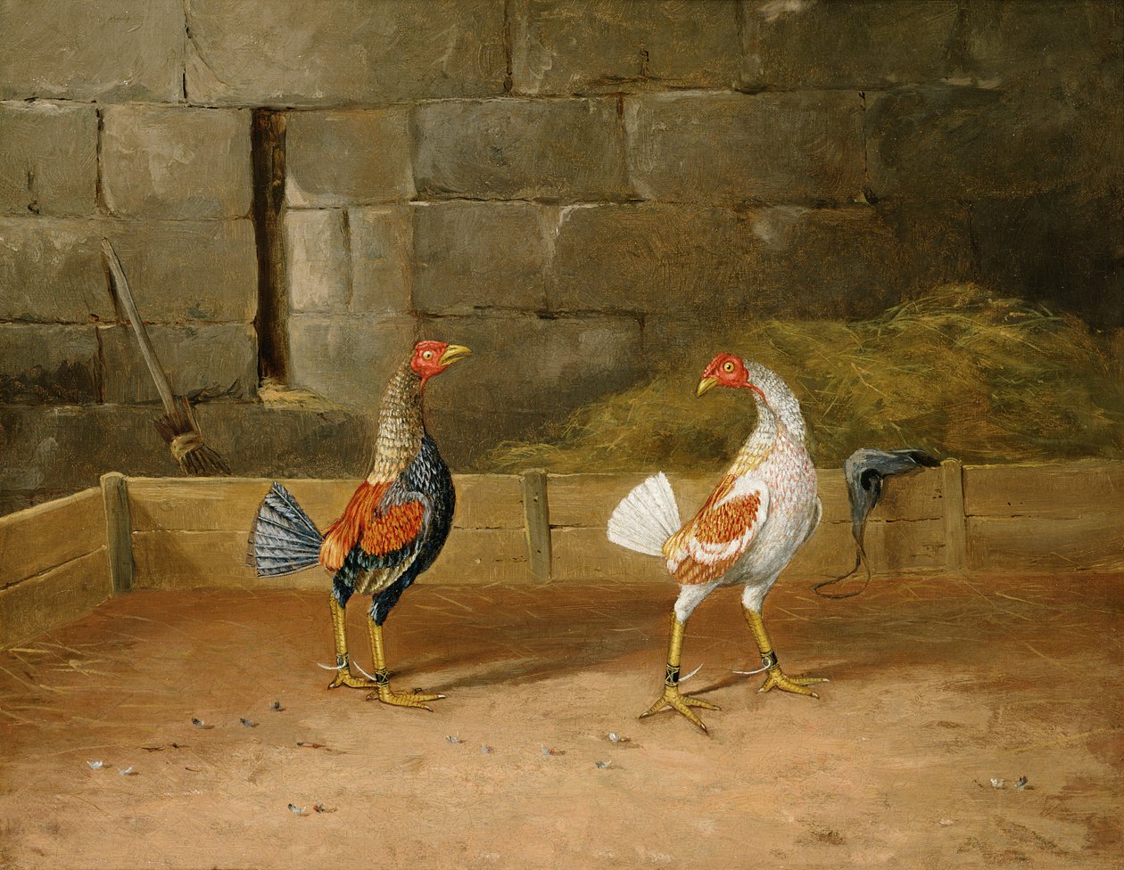 The Challenge (olie på lærred) (par til 101164) af Hilton L. Jnr. Pratt