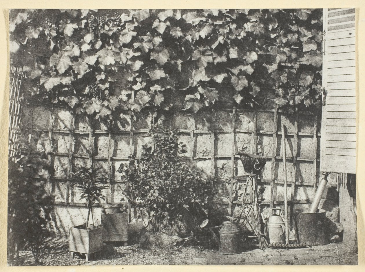 La Treille af Hippolyte Bayard