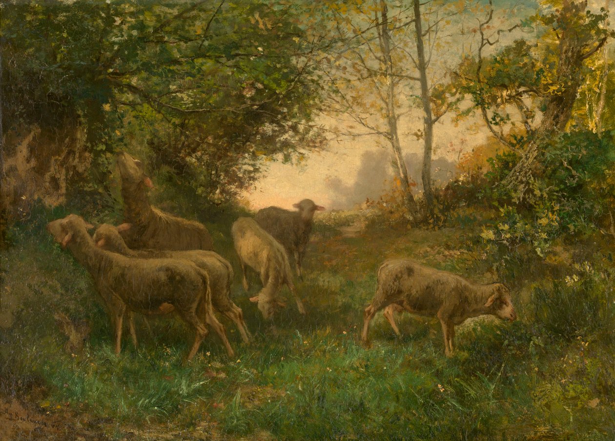 Får i udkanten af skoven af Hippolyte Boulenger