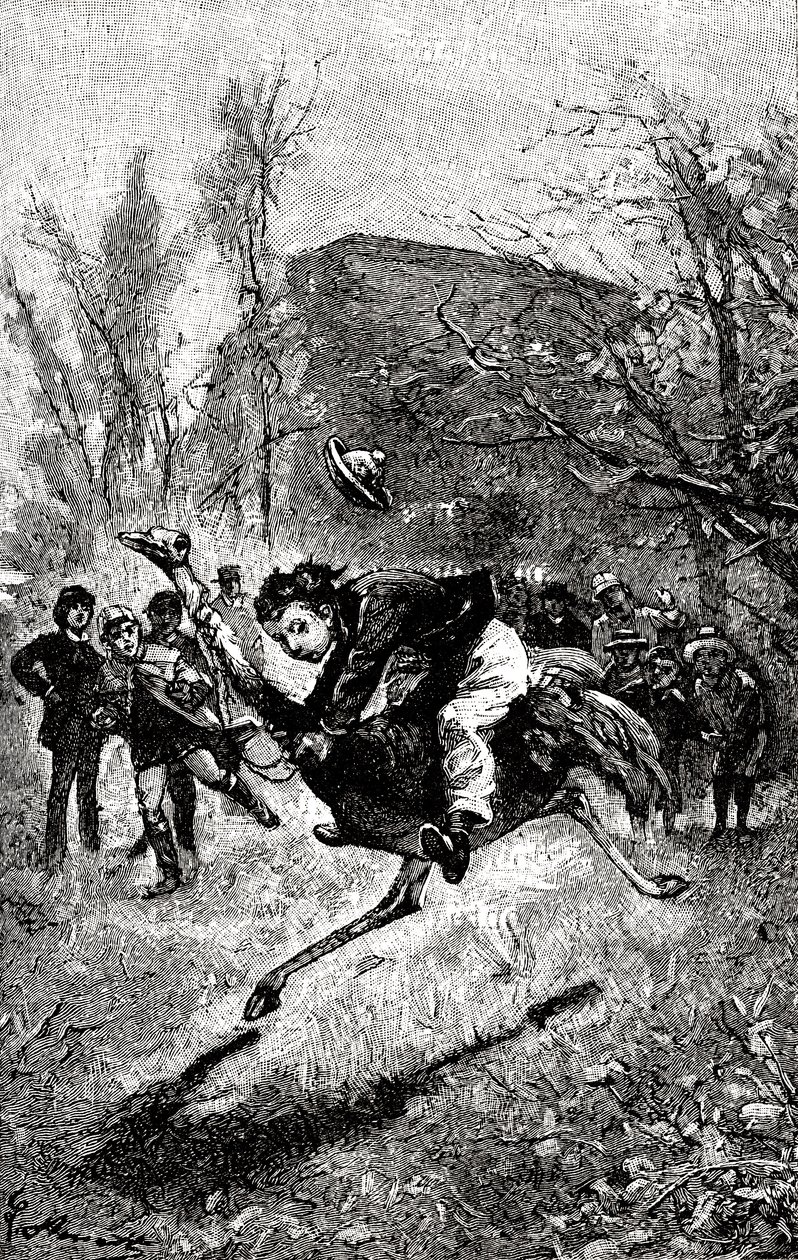 Den unge Tjeneste rider på en struds. Gravering af Hippolyte Leon Benett
