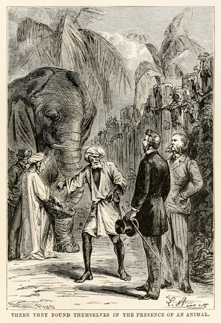 Der befandt de sig i nærværelse af et dyr, fra Jorden rundt på firs dage af Jules Verne (1828-1905), indgraveret af Adolphe François Pannemaker (1822-1900), 1873 af Hippolyte Leon after Benett