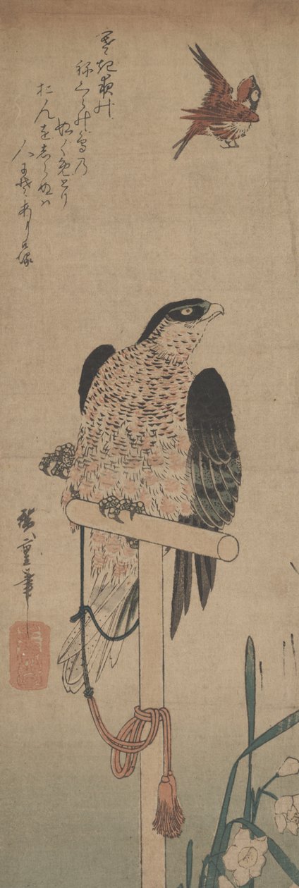 Falk på Aborre, Spurv og Narcissus af Hirokage Utagawa