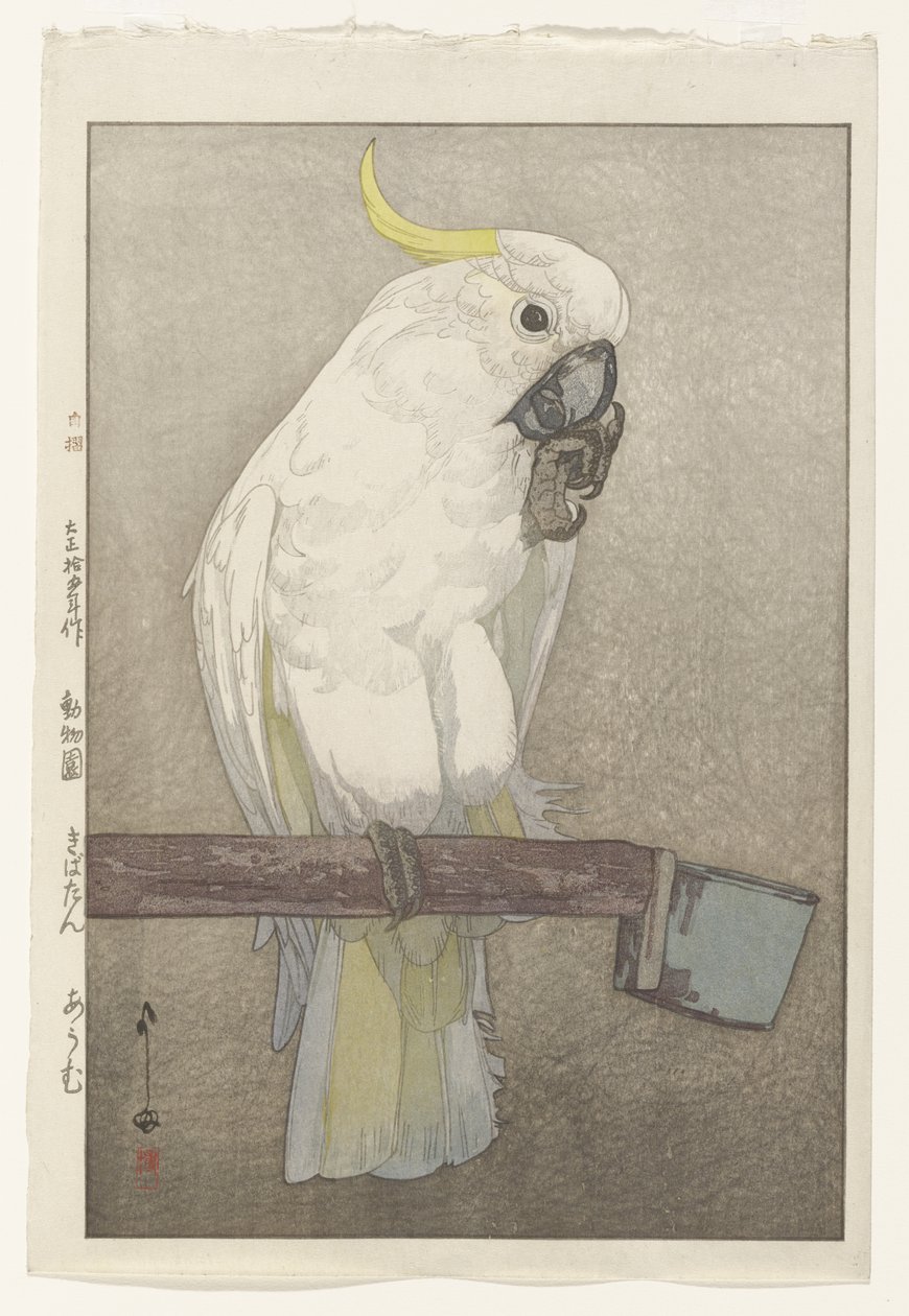 Svovl-kakadue af Hiroshi Yoshida