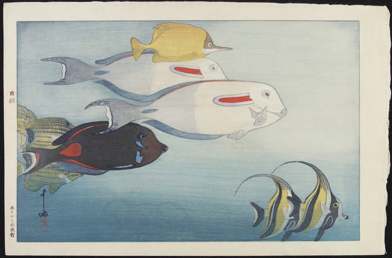Honolulu Aquarium af Hiroshi Yoshida