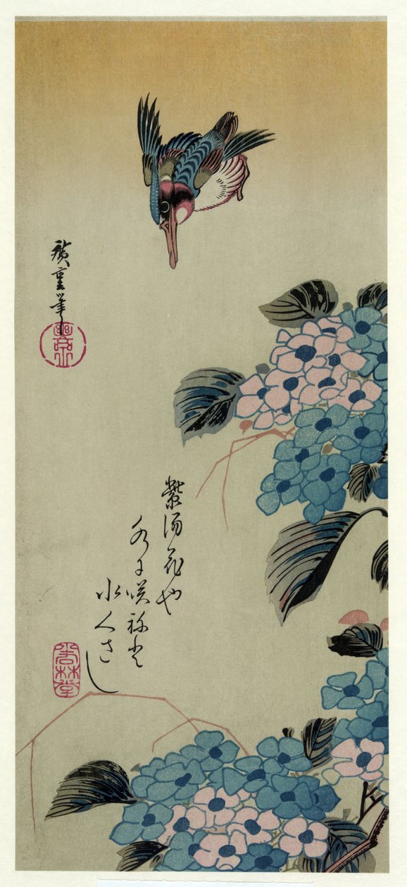 Hortensia Kingfisher (Hydraulik søjle GEA plan d guld g fisher) af Utagawa Hiroshige