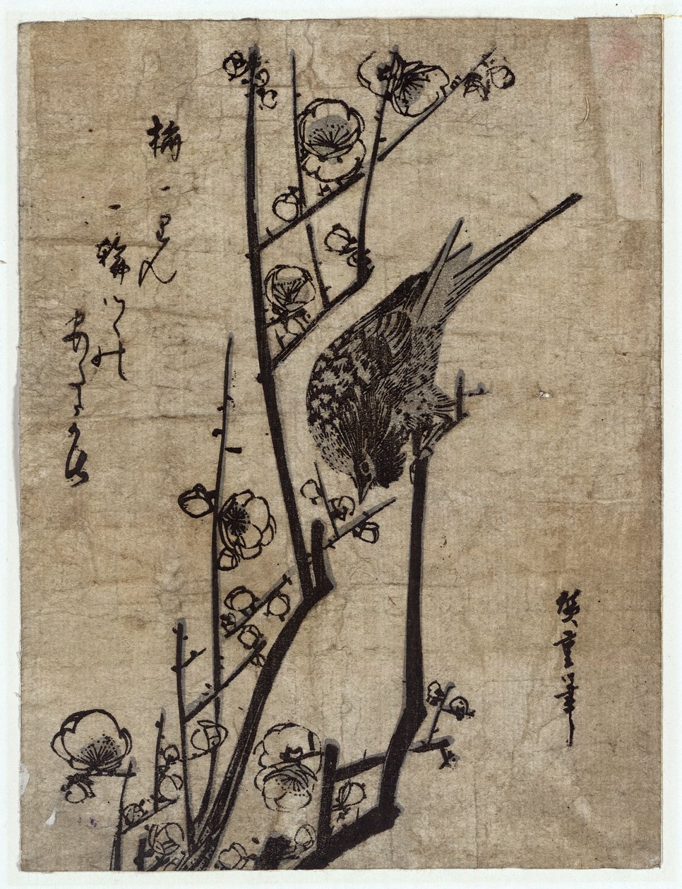 Ume ni Uguisu (Plum Blossom and Bush Warbler) af Utagawa Hiroshige
