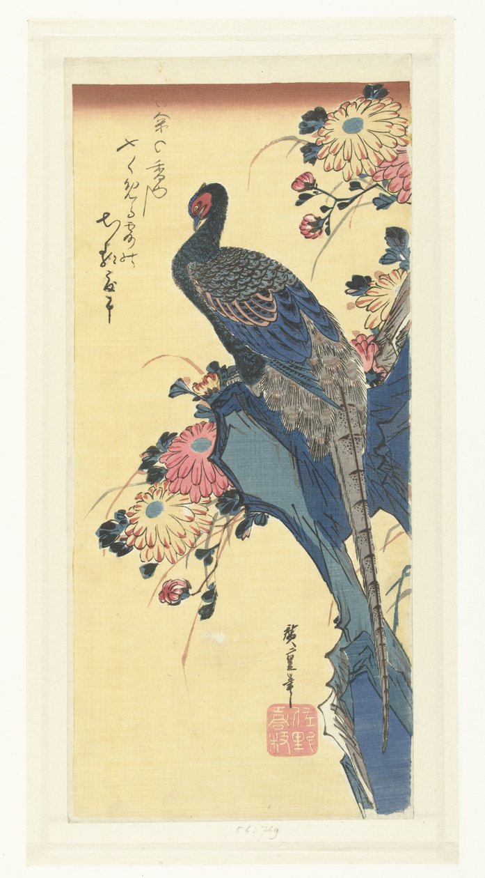 Fasan og krysantemum af Hiroshige (I) , Utagawa
