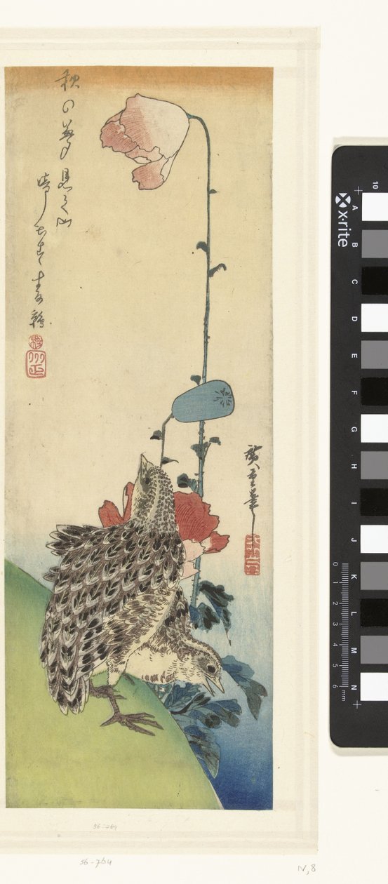 Vagtel og valmuer af Hiroshige (I) , Utagawa