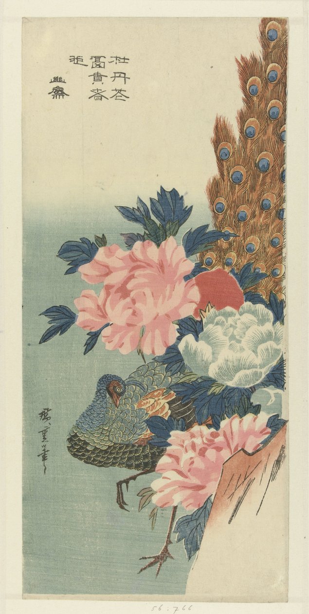 Påfugl og pæoner af Hiroshige (I) , Utagawa