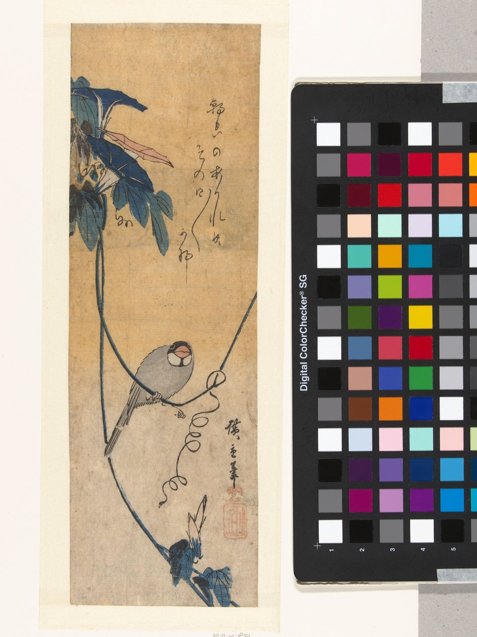 Fugl og blå bindweed af Hiroshige (I) , Utagawa