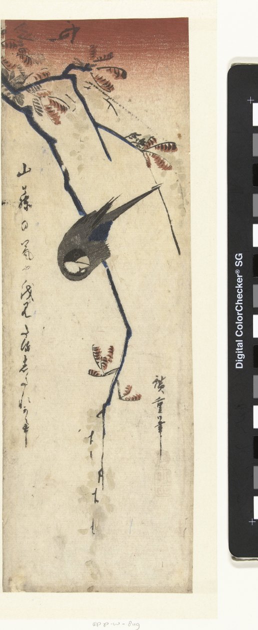 Fugl og blåregn af Hiroshige (I) , Utagawa