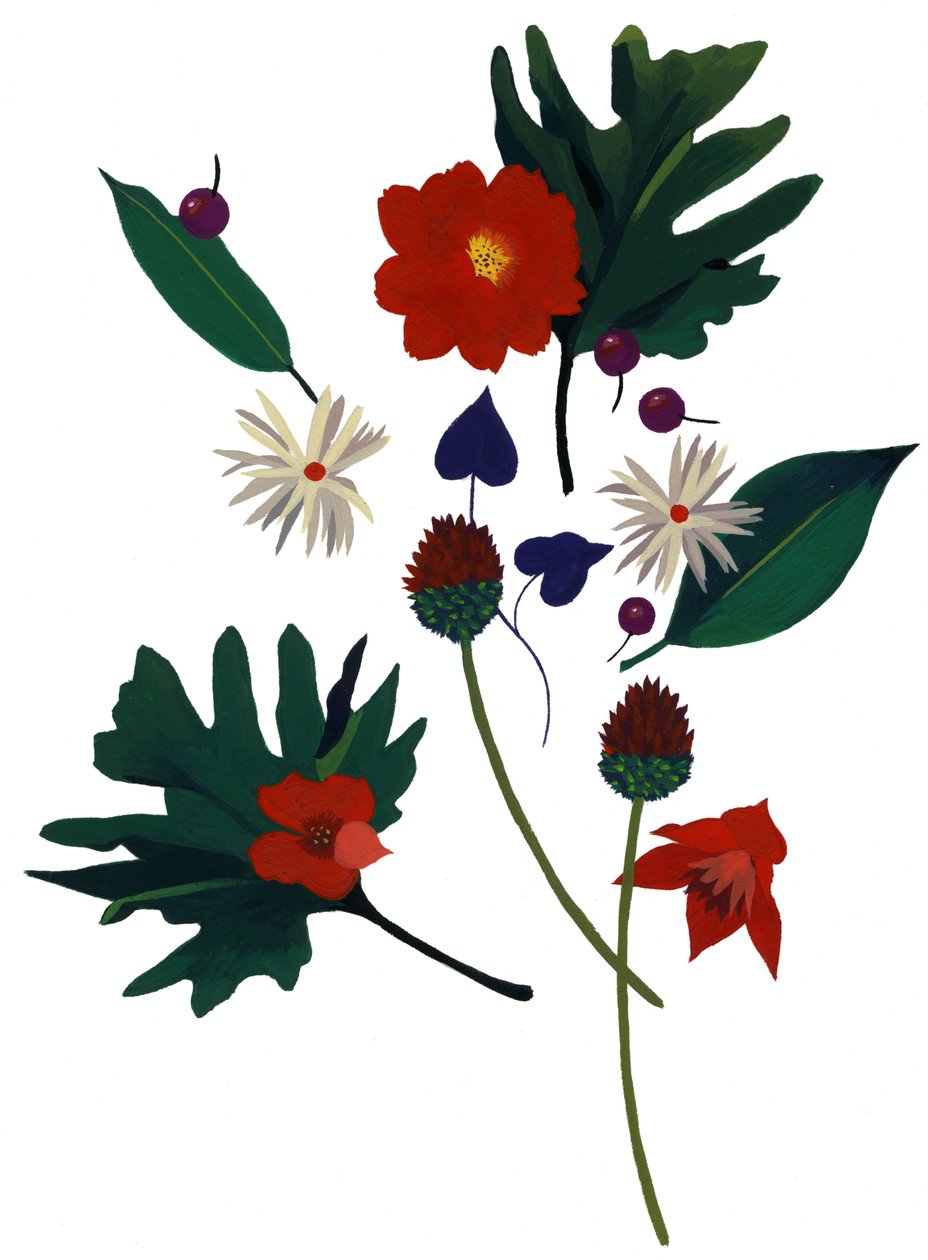 En blomst, der får dig til at forestille dig jul. af Hiroyuki Izutsu