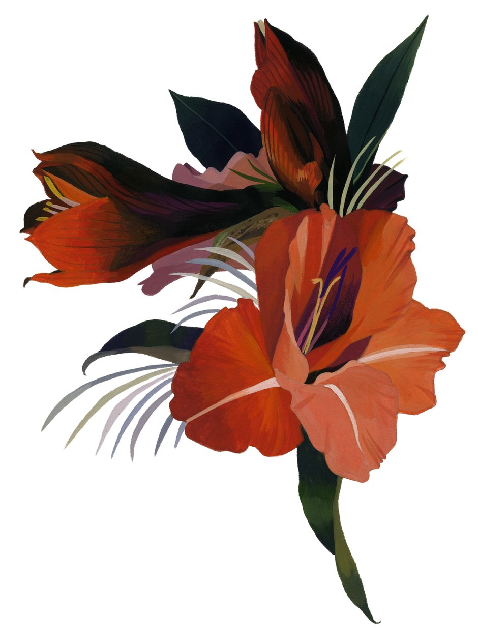 En imaginær blomst baseret på en amaryllis. af Hiroyuki Izutsu