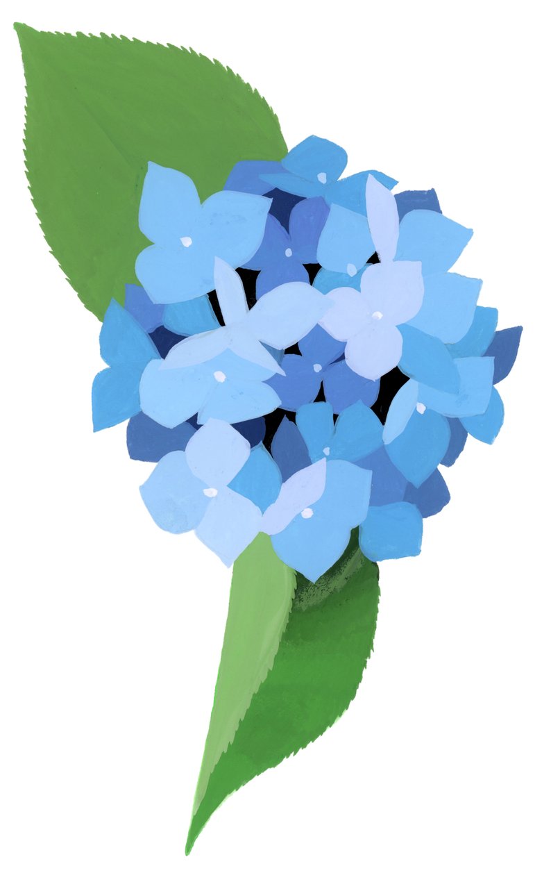 hortensia af Hiroyuki Izutsu