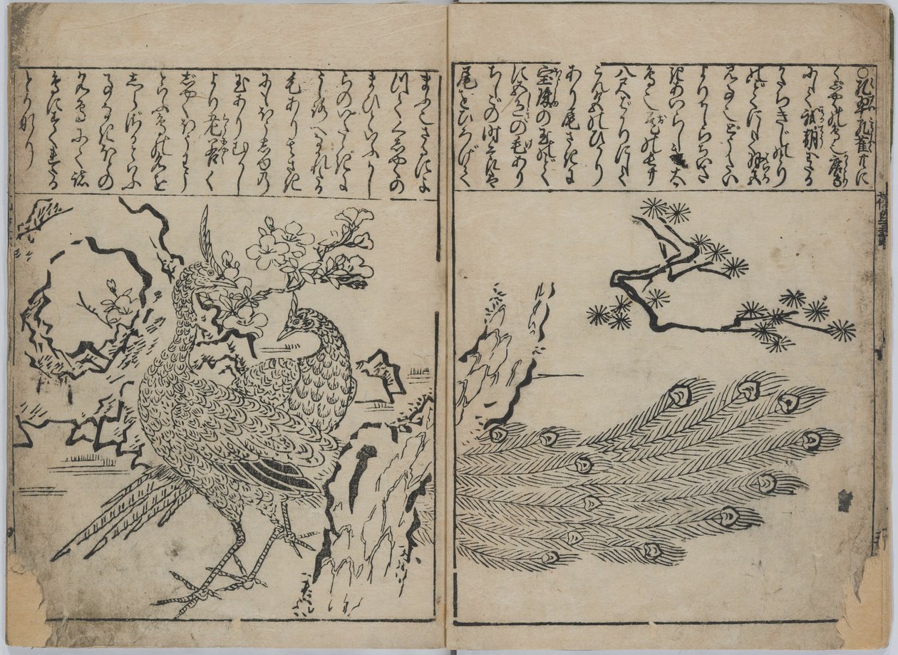 En samling af blomster og fugle (Kacho zukushi) af Hishikawa Moronobu