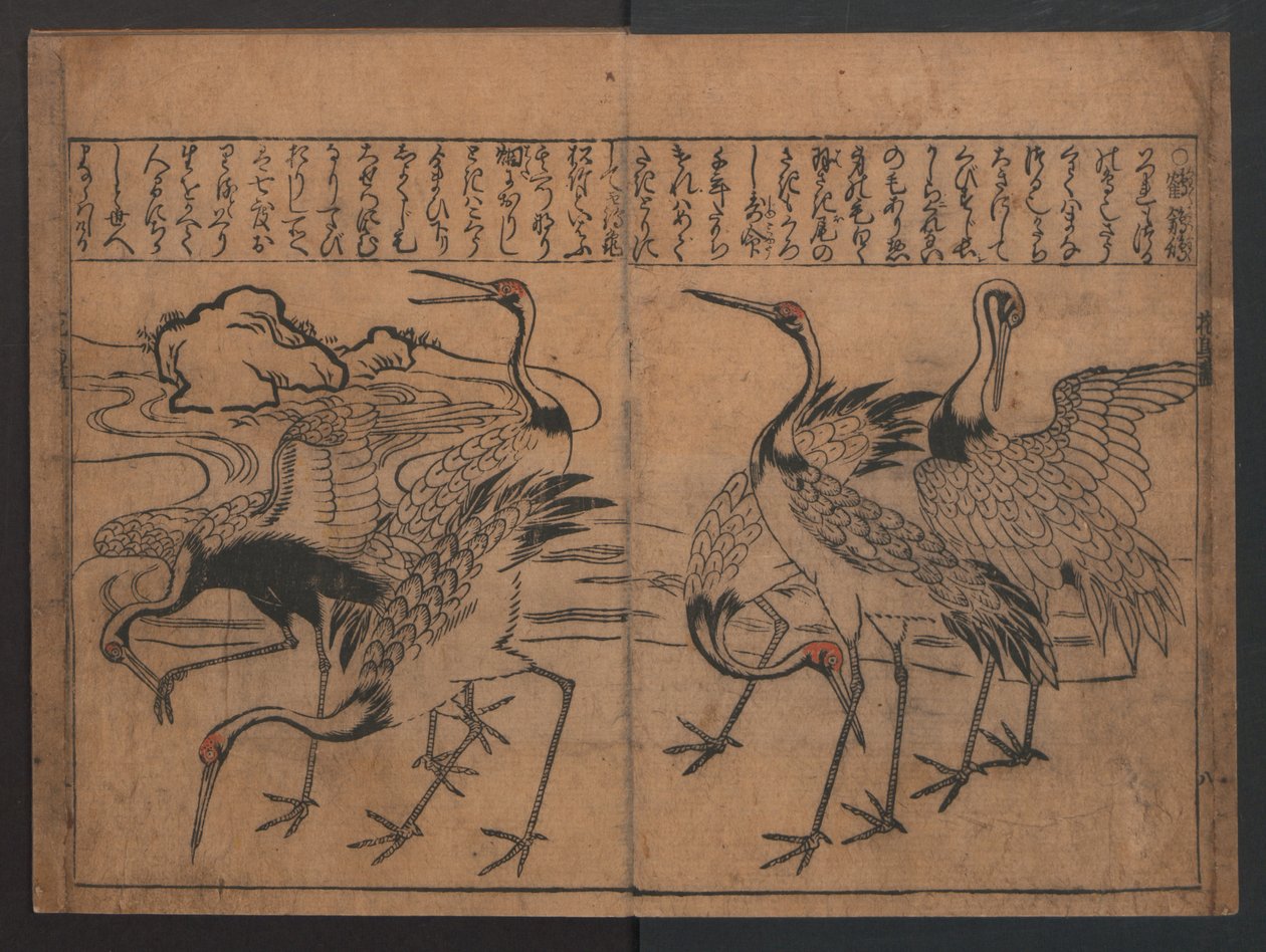 Illustrationen von Vögeln und Blumen (Kachō e-zukushi) af Hishikawa Moronobu
