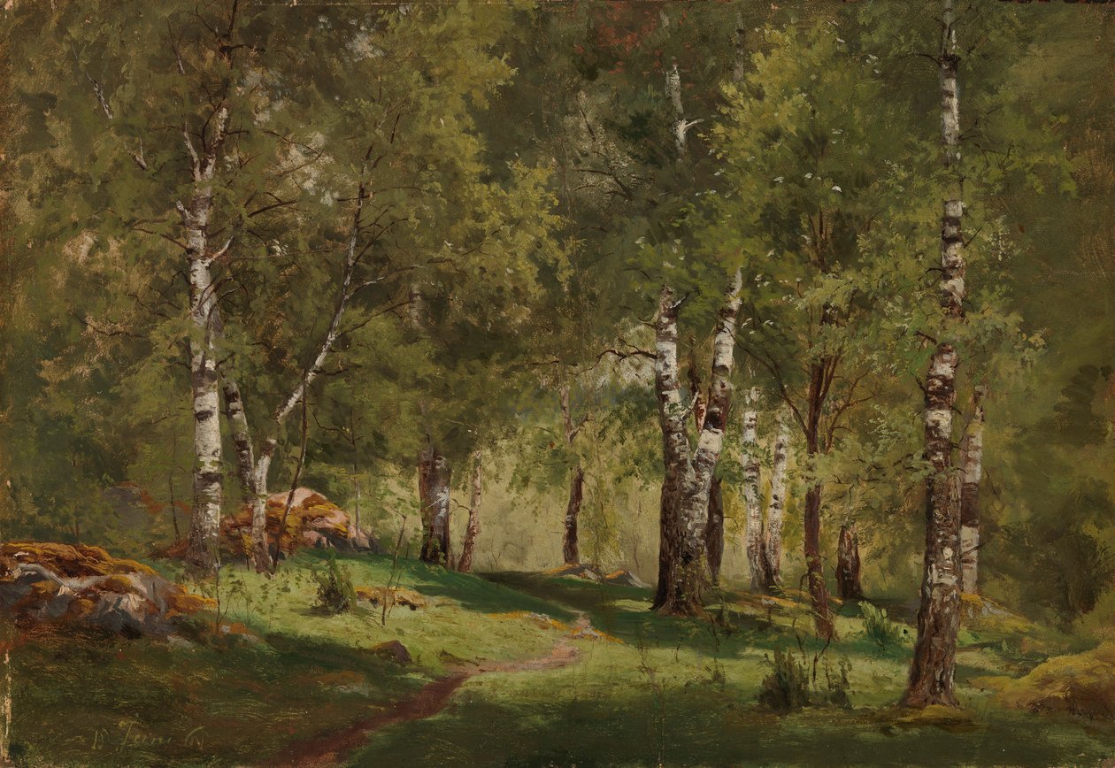 Indre af en birkelund af Hjalmar Munsterhjelm