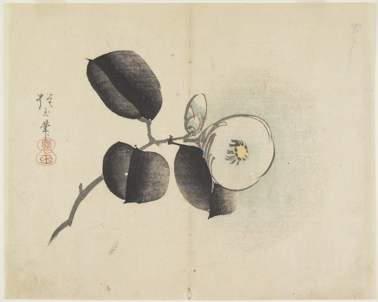 (Kameliablomst med knop), ca. 1830 af Hogyoku