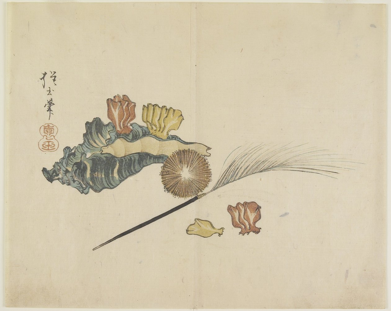(skaller), ca. 1830 af Hogyoku