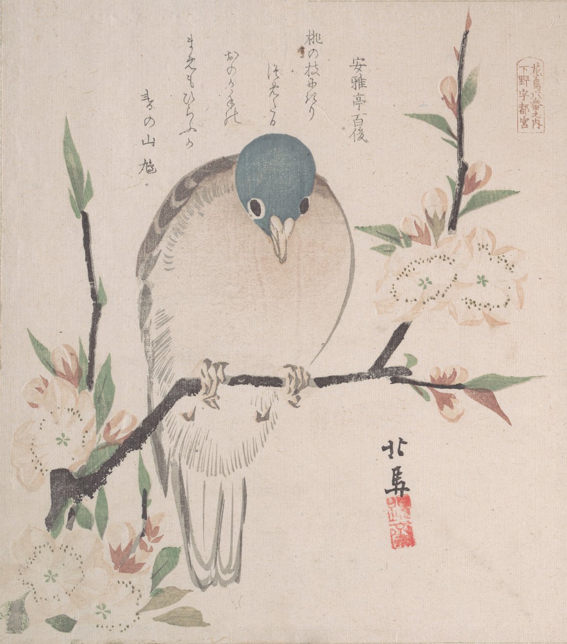 Spring Rain Collection Harusame shu, vol. 3: Bjergdue- og ferskenblomster, ca. 1820., ca. 1820. af Hokuba