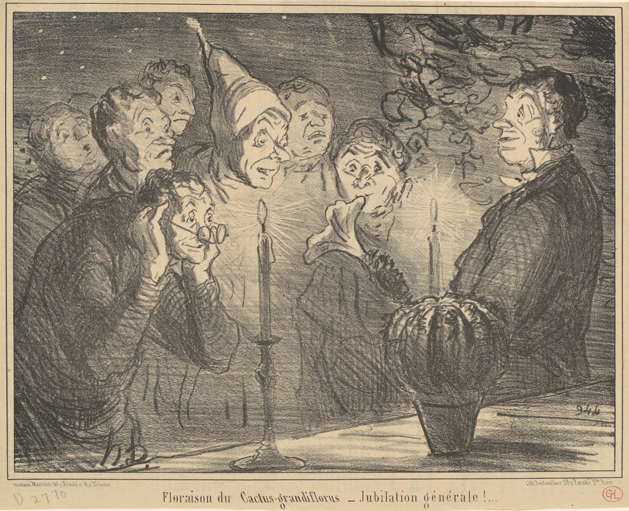 Blomstring af Cactus-grandiflorus... af Honoré Daumier