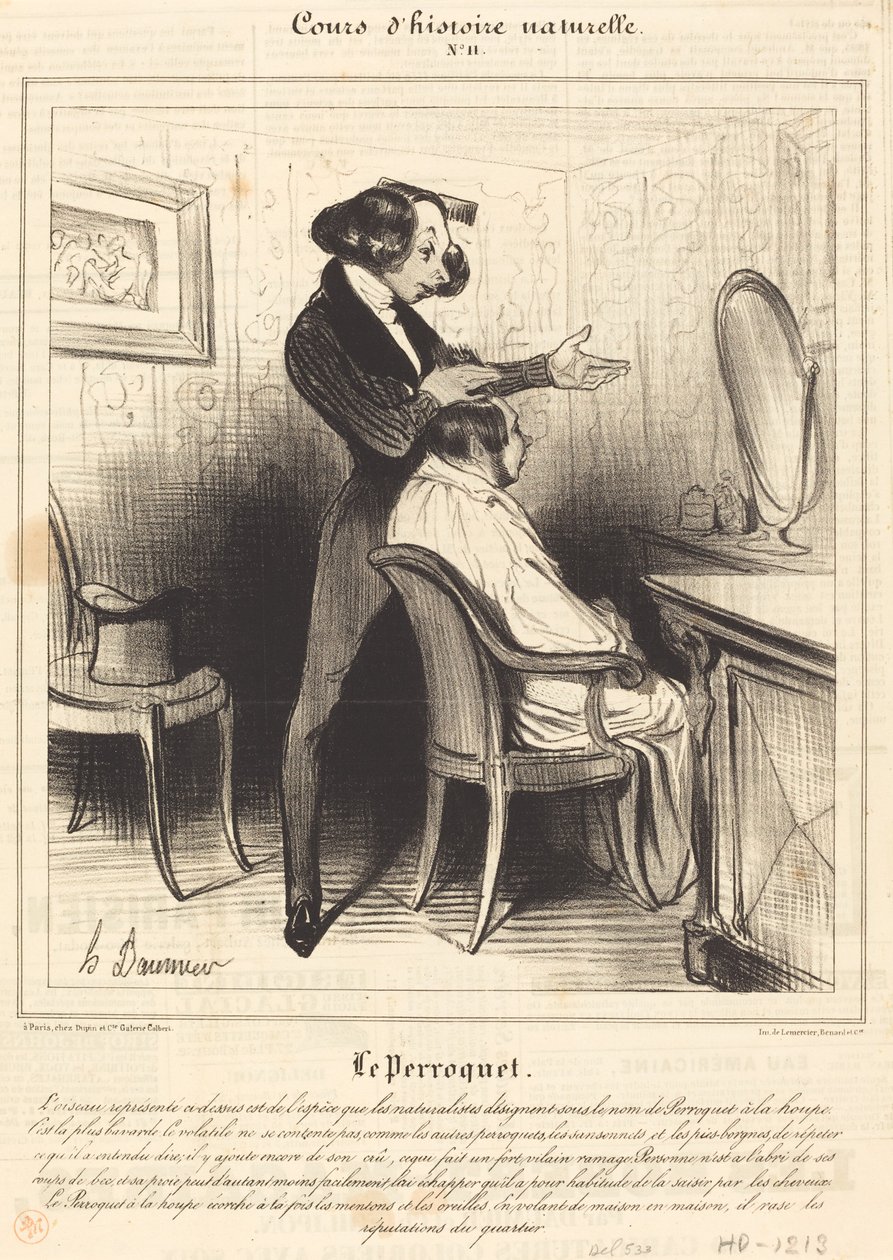 Papegøjen af Honoré Daumier