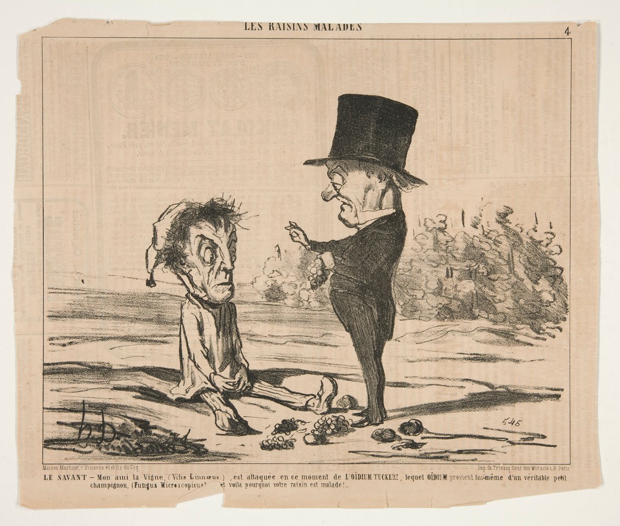 Den lærde - Min ven, vinstokken, (Vitis Linnaeus.), er under angreb på dette tidspunkt af Honoré Daumier