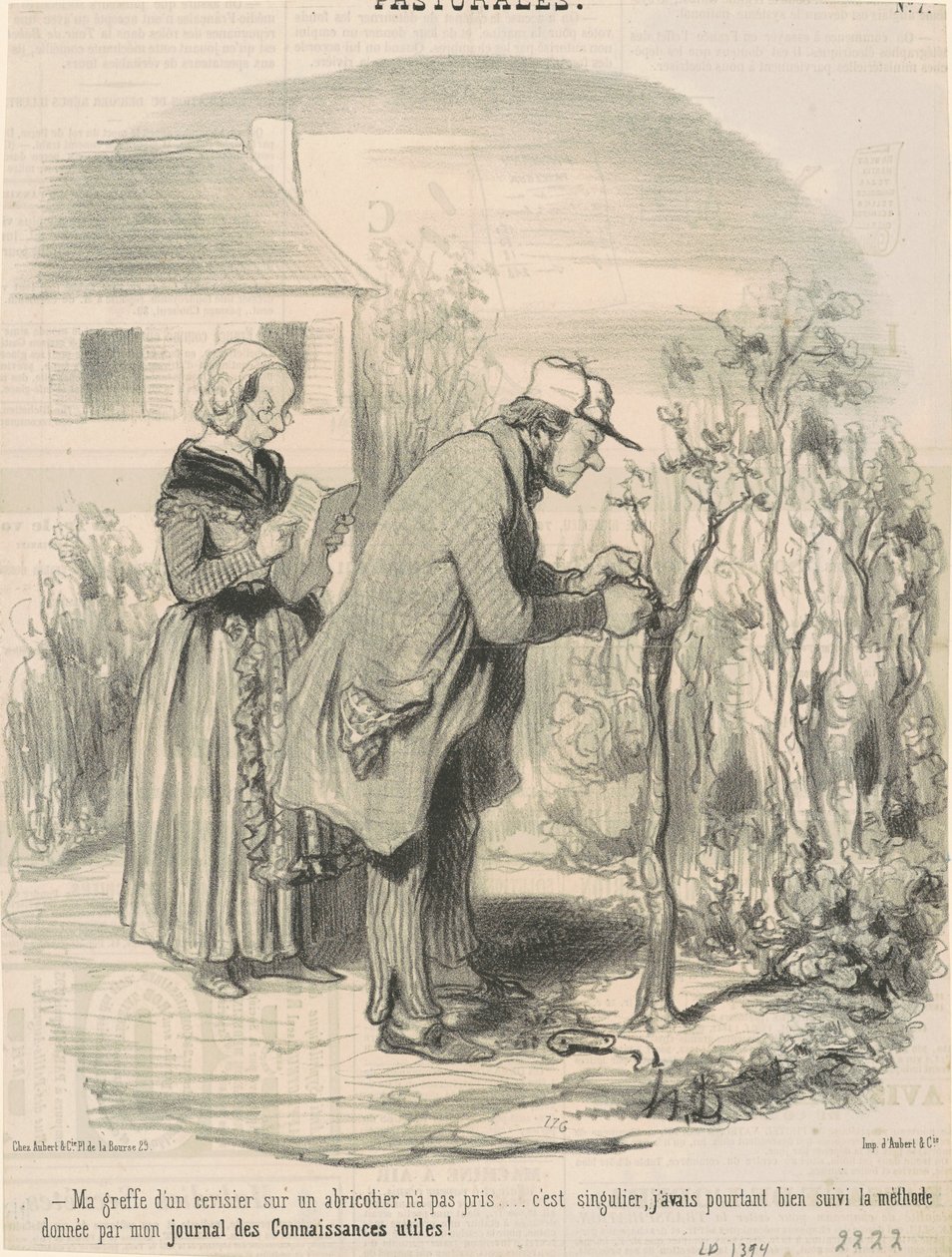 Min podning af et kirsebærtræ på et abrikostræ tog ikke ... af Honoré Daumier