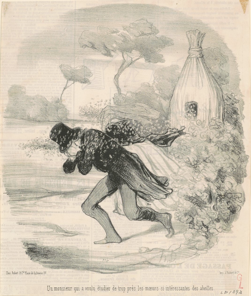 En herre, der ville studere ... biernes skikke af Honoré Daumier