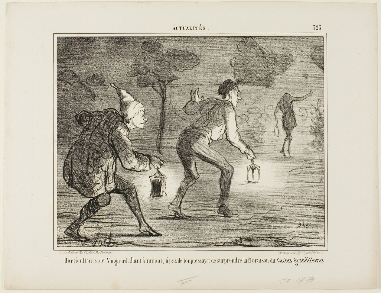 Gartnerne i Nanterre går på tå ved midnat mod kaktussen grandiflorus for at overraske den i dens blomstring, planche 323 fra Actualités af Honoré Victorin Daumier