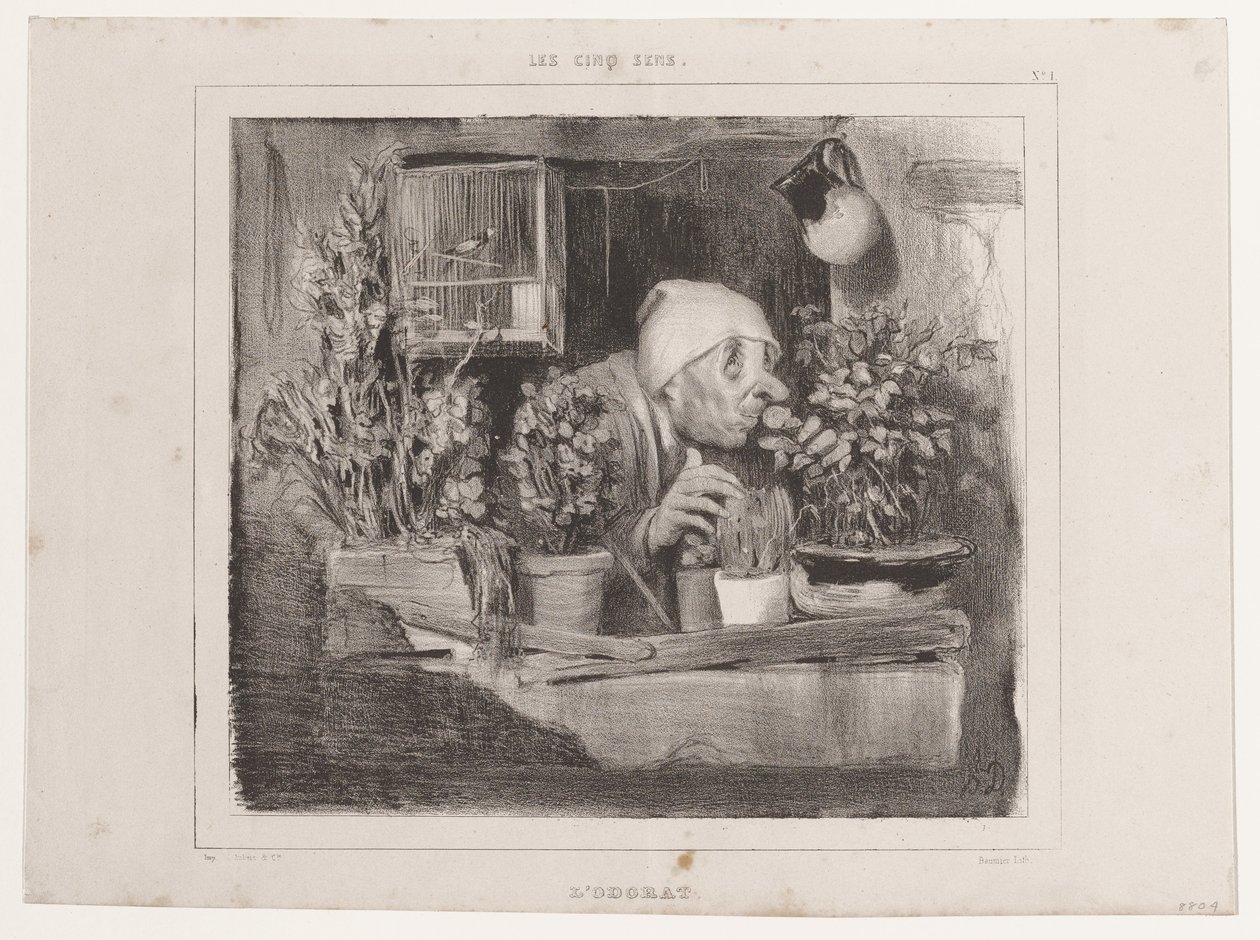 Lugtesansen (De fem sanser), fra La Caricature af Honoré Daumier
