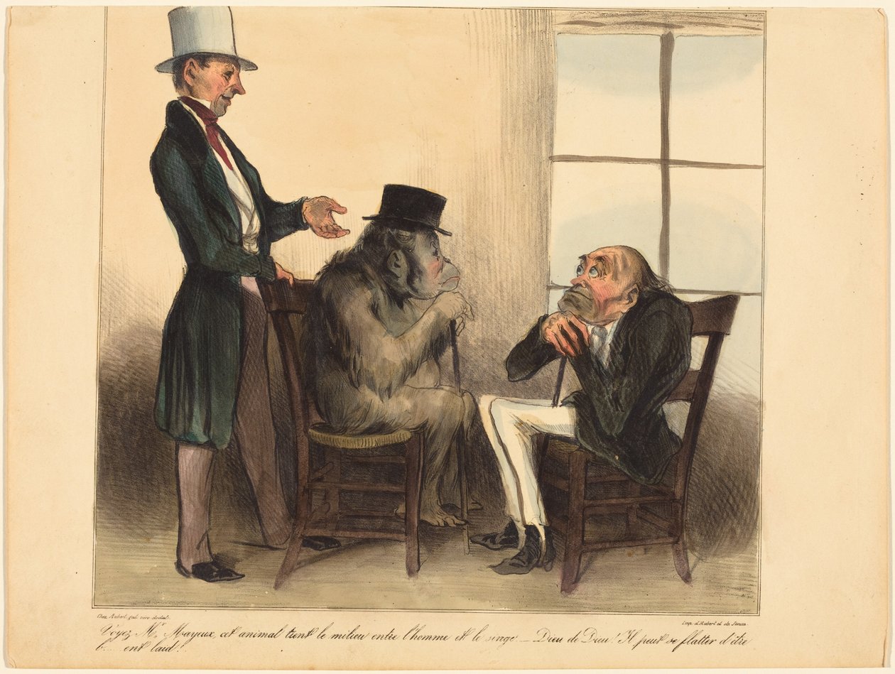 Se, hr. Mayeux, dette dyr... af Honoré Daumier