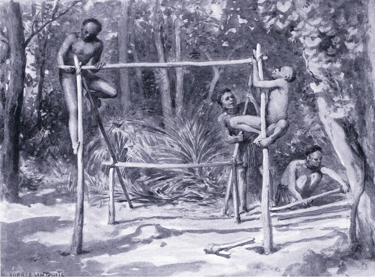 Livets begyndelse at bygge et hjem af Horace van Ruith
