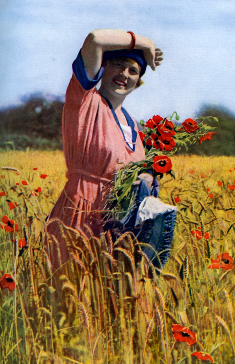 Den engelske rose, c1922 af Horace Walter Nicholls