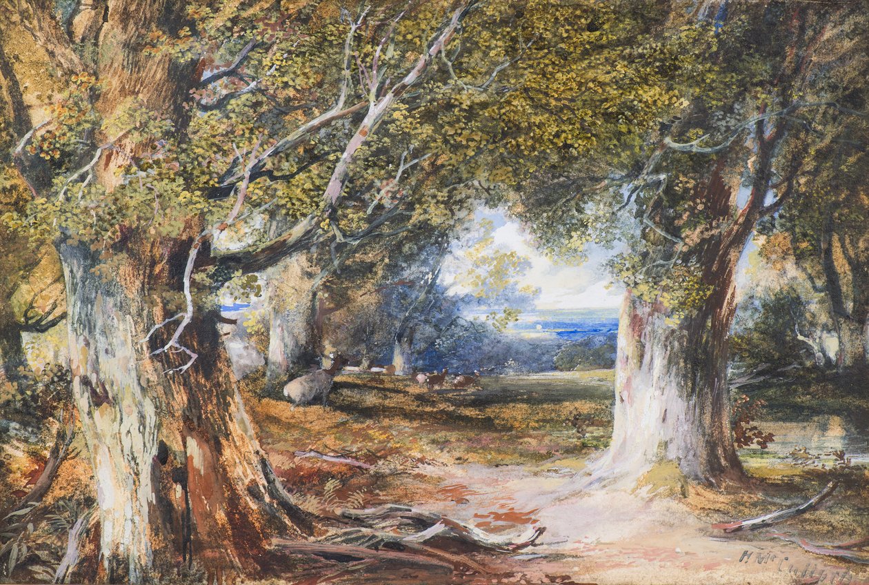 In the Wood (akvarel) af Horatio McCulloch