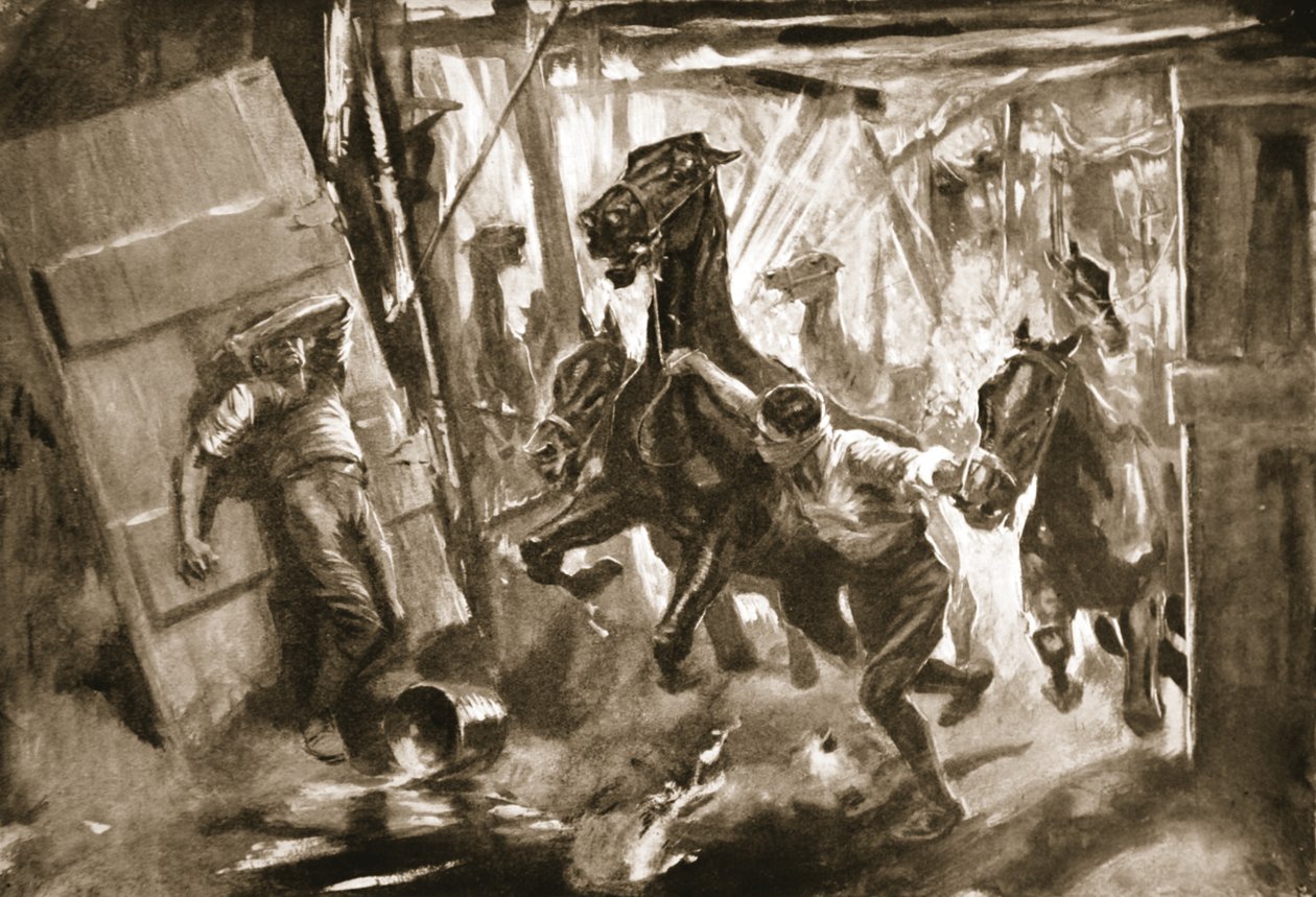 Foreløbig hovslager-sergent Cussens frigør heste fra stalde, hvor en granat var sprængt af Howard K. Elcock