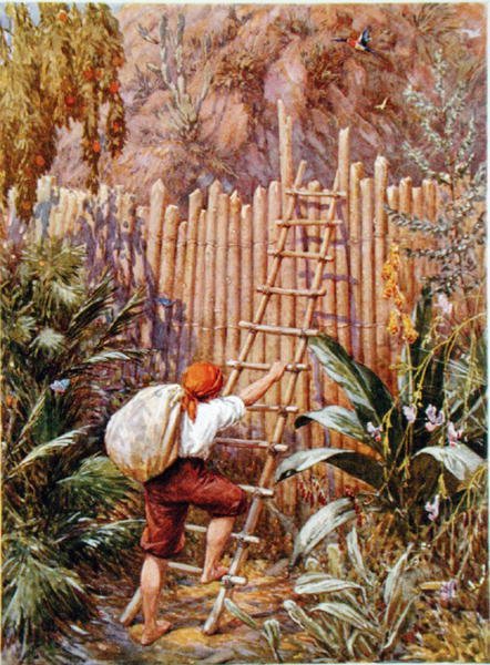 Crusoe og hans fæstning, illustration til 