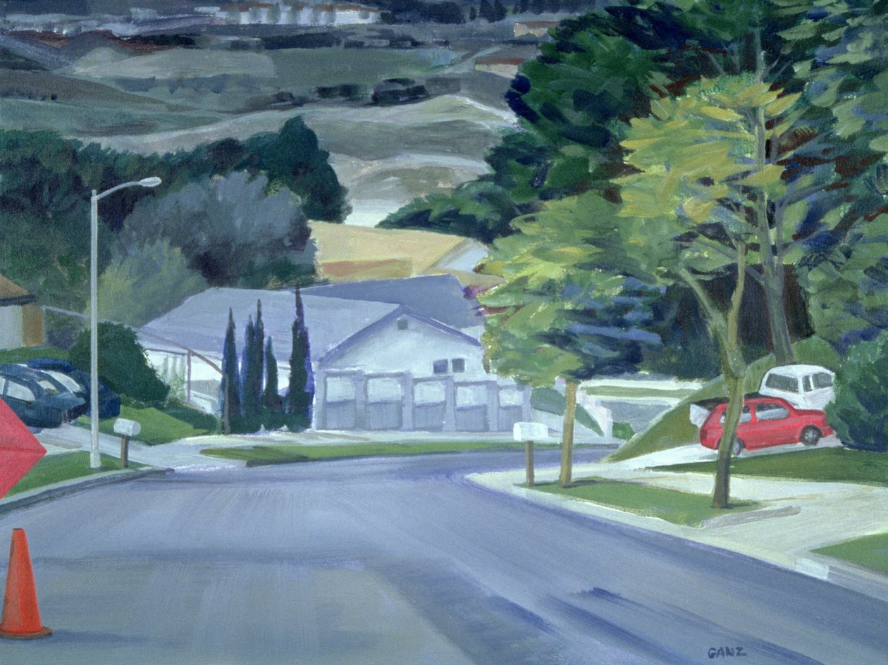 Looking Down My Street, 2000 (akryl på lærred) af Howard Ganz
