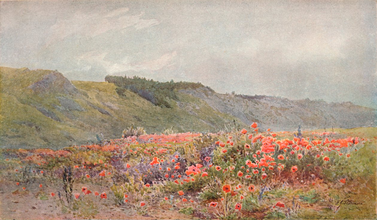 Valmuernes dal, c1879-1903, 1903 af Howard Gull Stormont