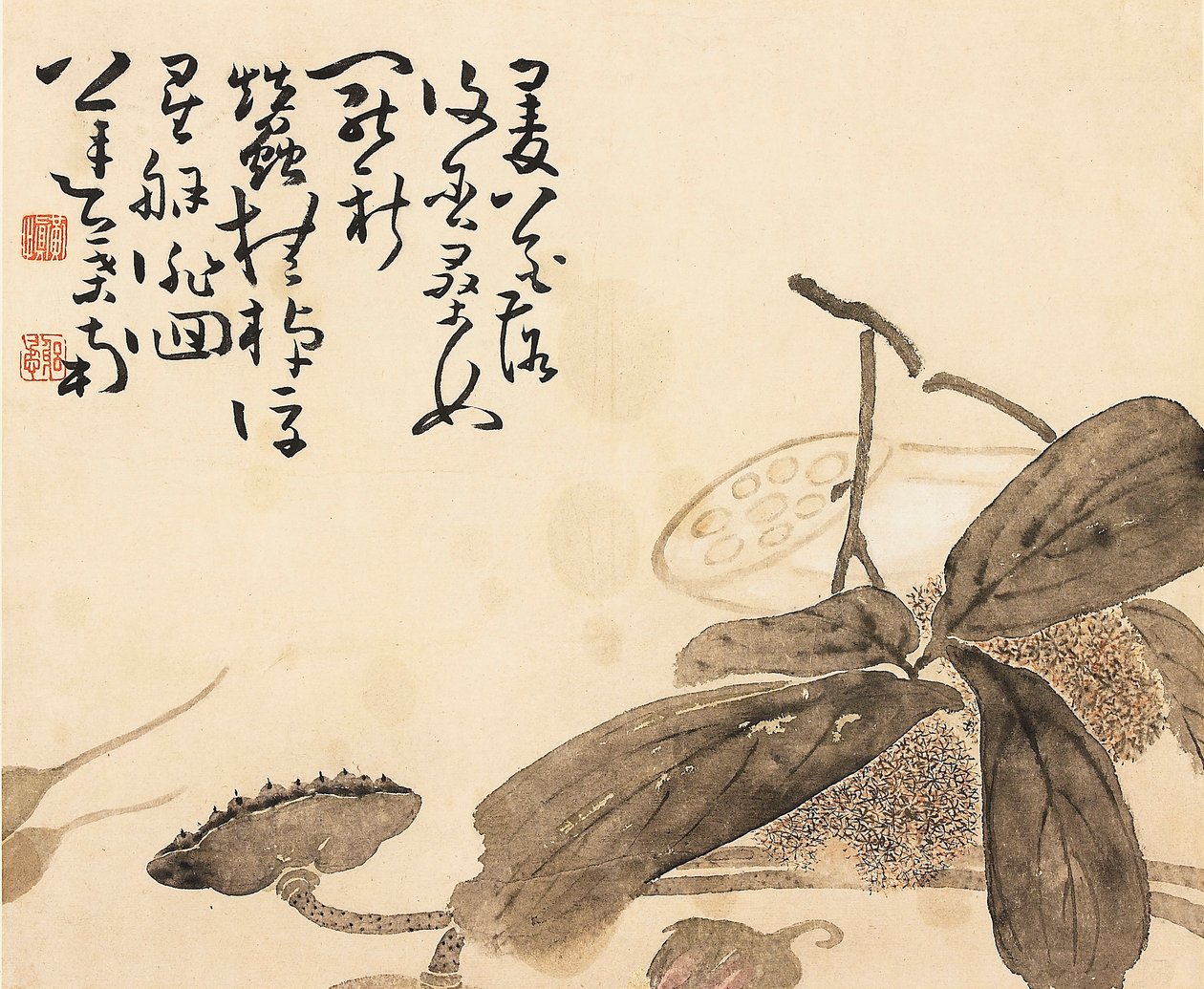 Malet albumblad - Lotusplante, 1700-tallet af Huang Shen