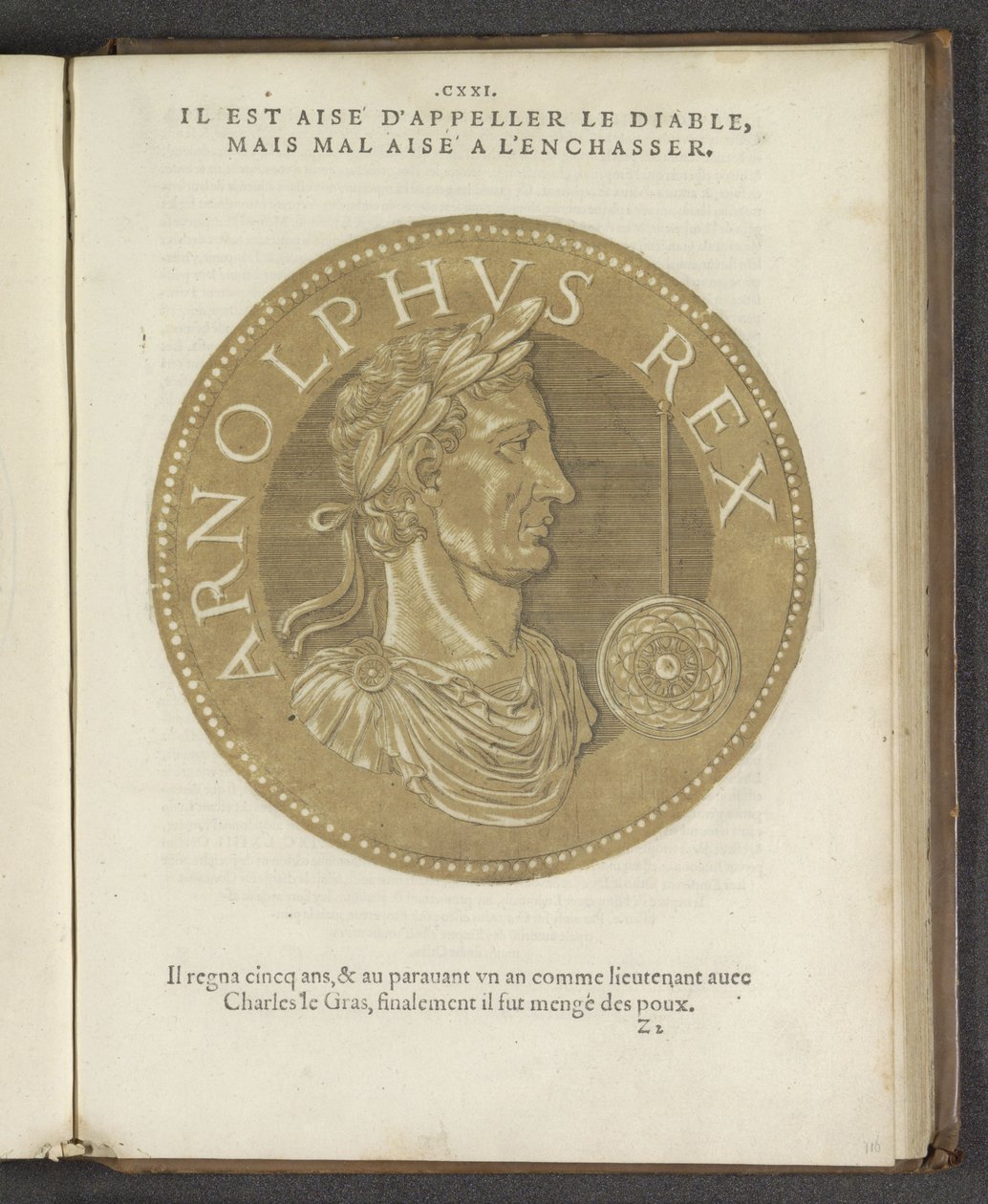 Arnolphus Rex, fra 