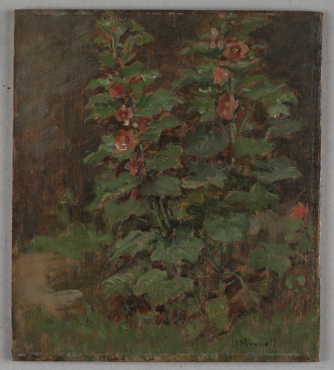 Blomster af Hugh Newell