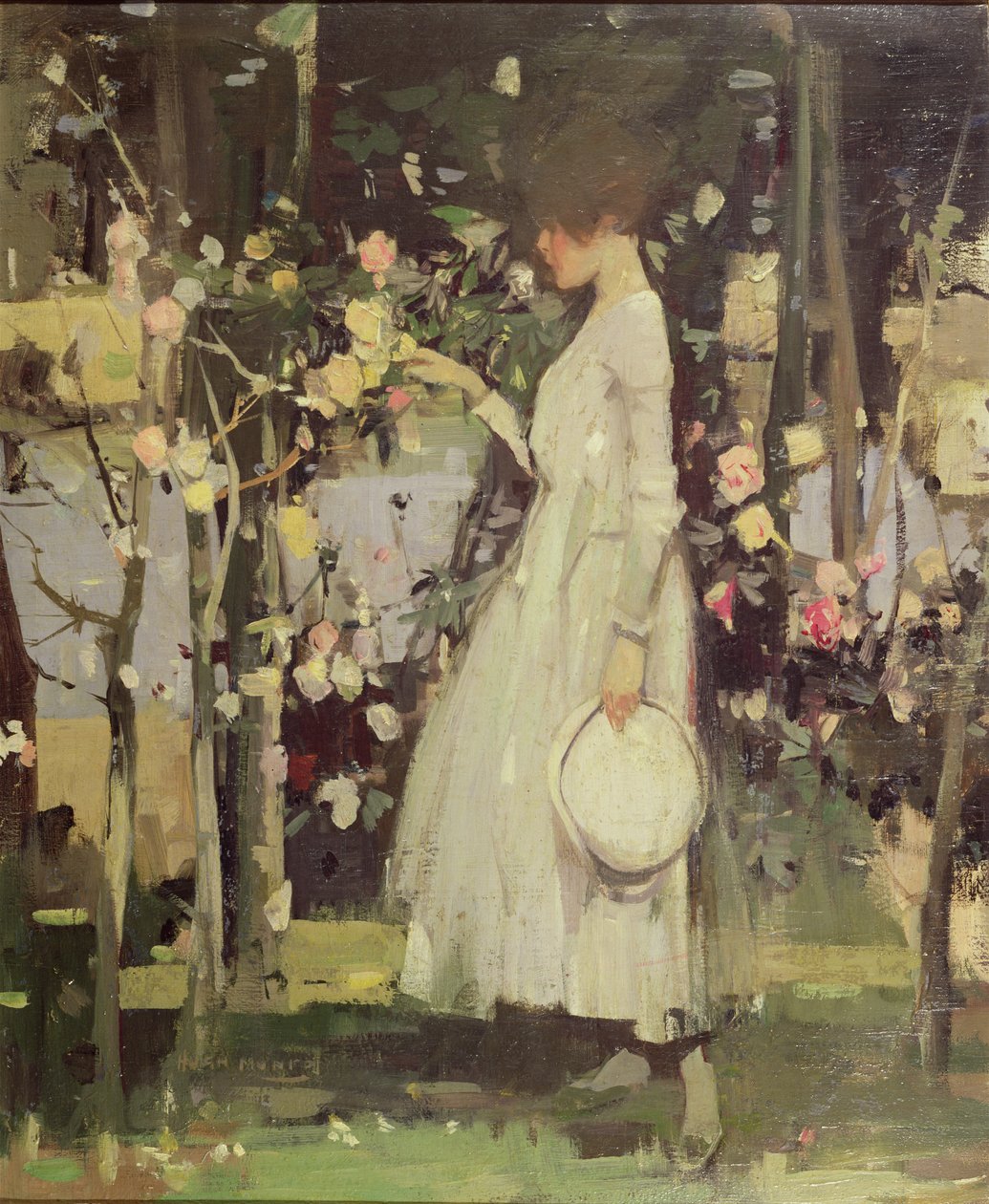 I en Galloway Rose Garden af Hugh Munro