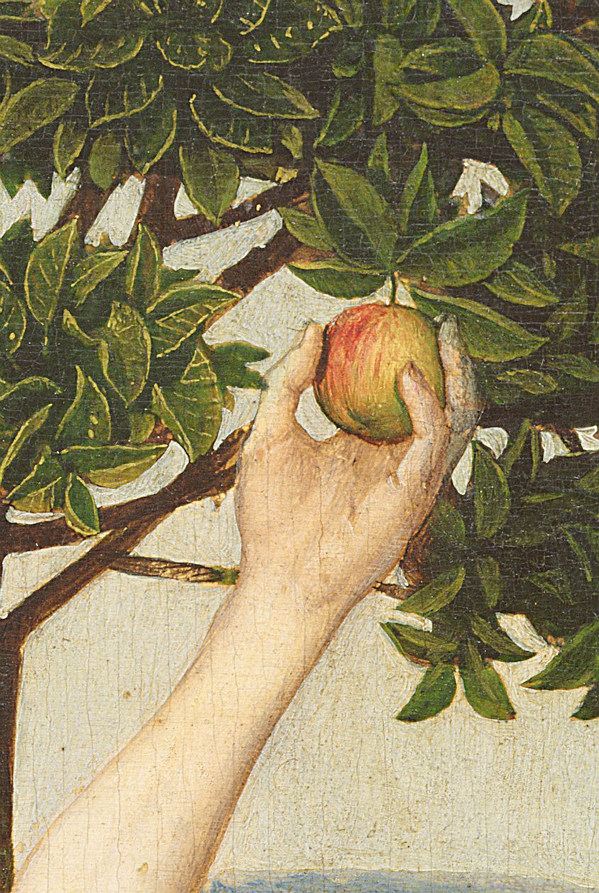 The Fall, efter 1479 olie på panel detalje på 13000 af Hugo van der Goes
