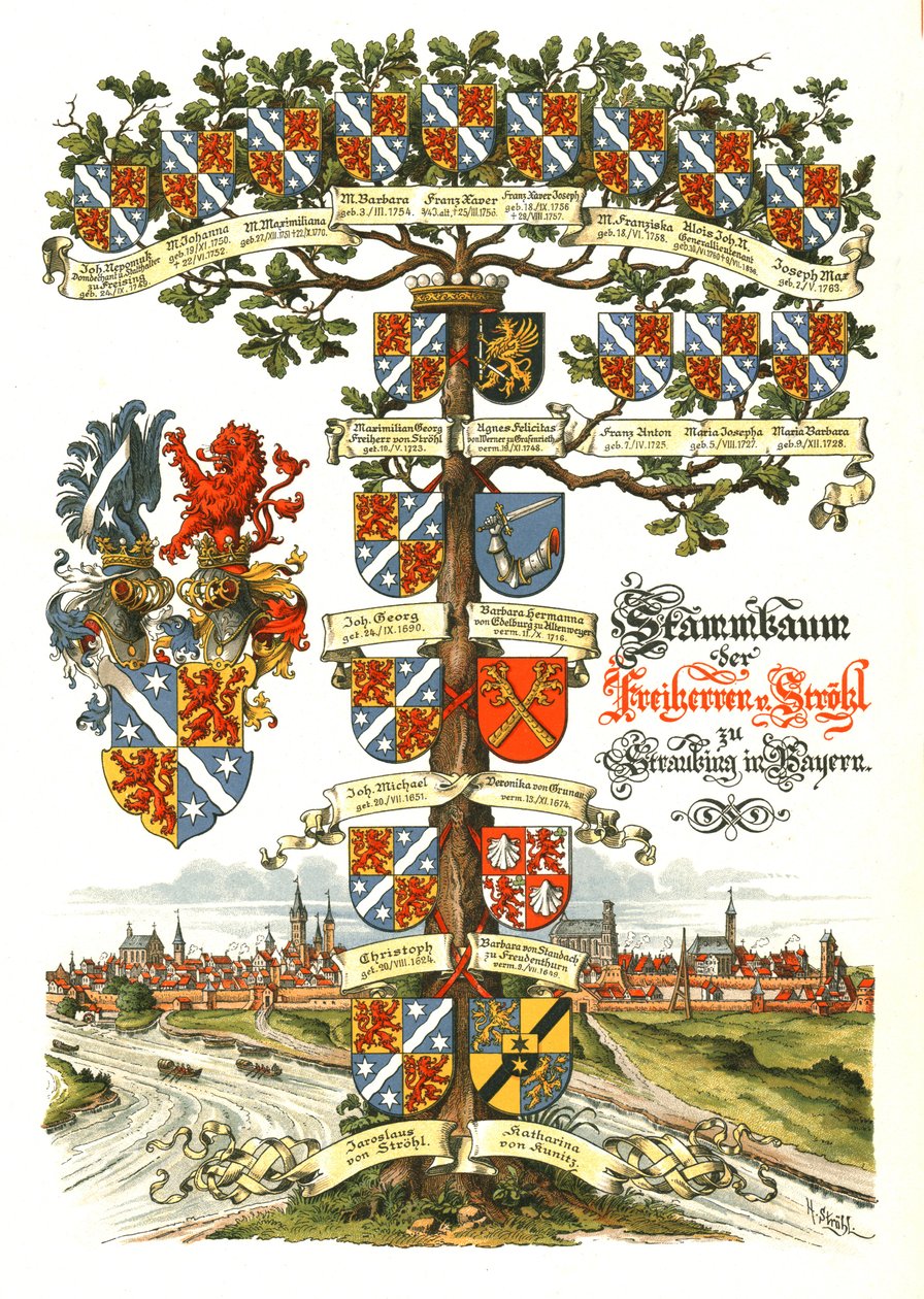 Strohl heraldisk træ af Hugo Gerard Strohl