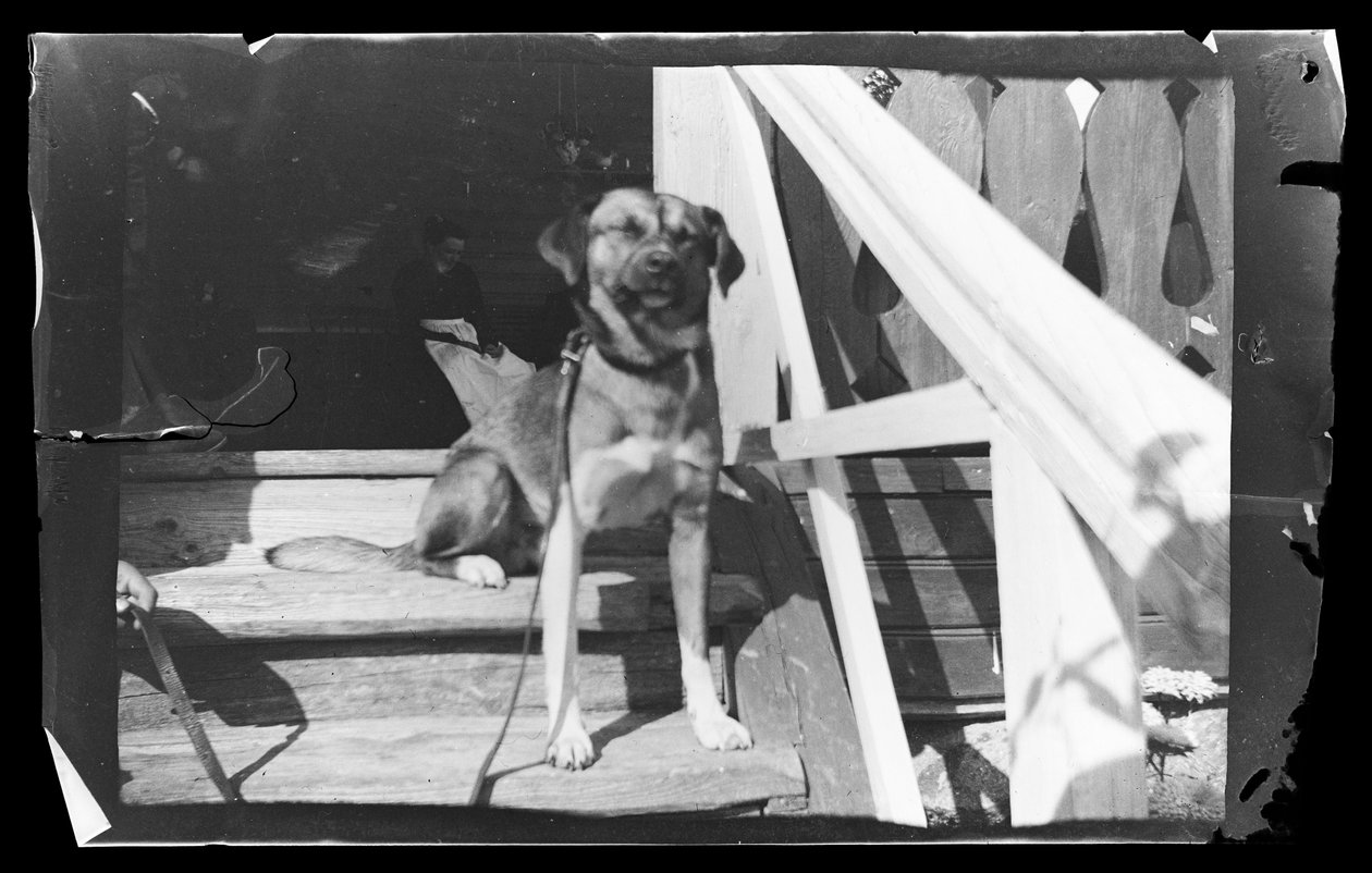 Baloo på trappen til den lyserøde villa af Hugo Simberg