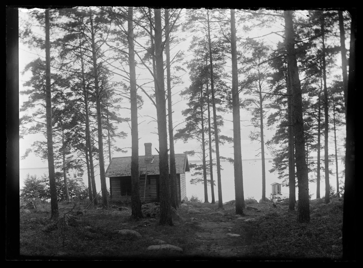Sauna i Selkäranta af Hugo Simberg