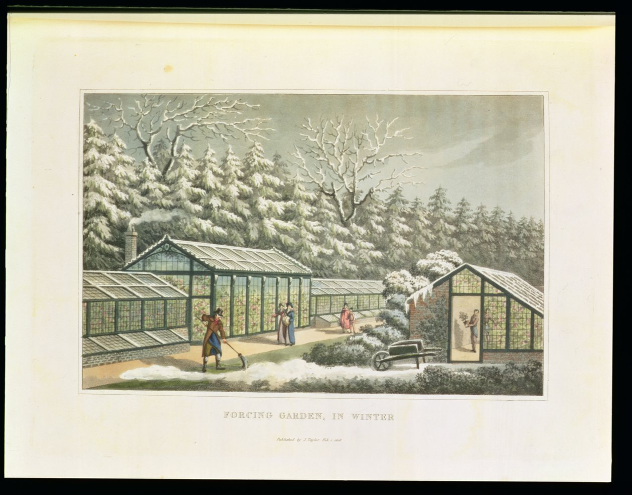 Forcing Garden in Winter, fra Fragments on the Theory and Practice of Landscape Gardening