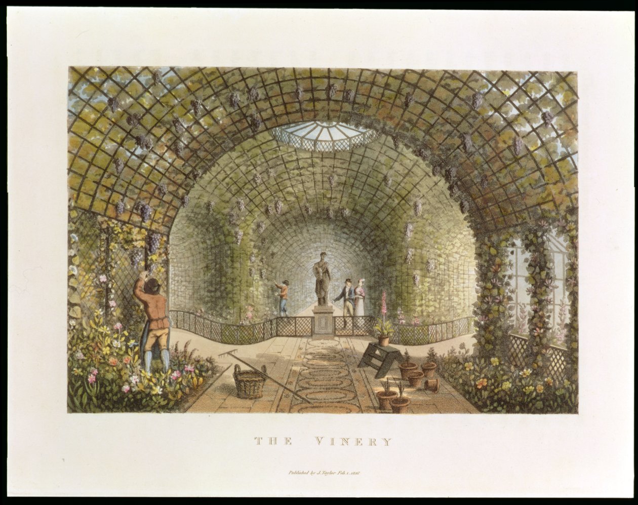 The Vinery, fra 