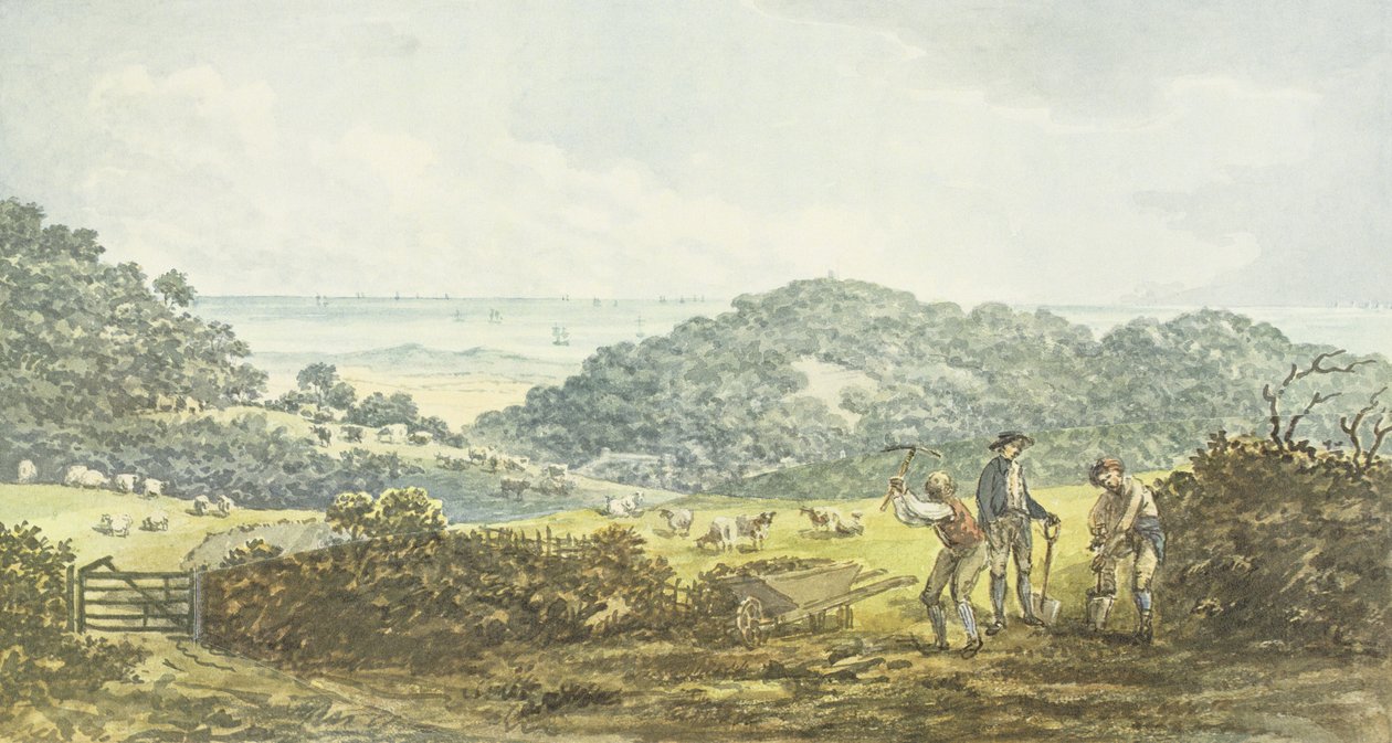 Panorama 